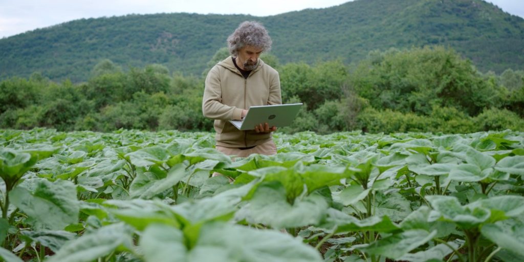 Um quiz sobre ética em IA e o aviso que a agricultura ainda não ouviu
