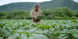Um quiz sobre ética em IA e o aviso que a agricultura ainda não ouviu