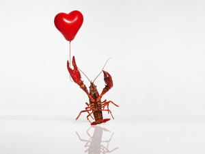OpenClaw virou app de namoro sem querer, e alguém já achou "esposas em potencial" nas DMs